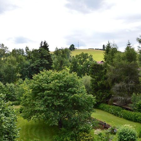 Horsky Apartman Pod Zelenou Strechou Bartosovice v Orlickych Horach Exterior photo