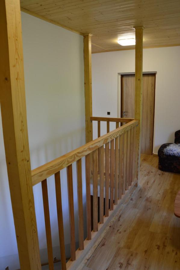 Horsky Apartman Pod Zelenou Strechou Bartosovice v Orlickych Horach Exterior photo