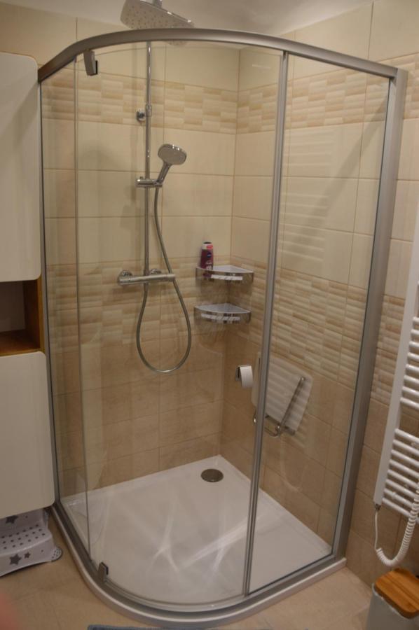 Horsky Apartman Pod Zelenou Strechou Bartosovice v Orlickych Horach Exterior photo